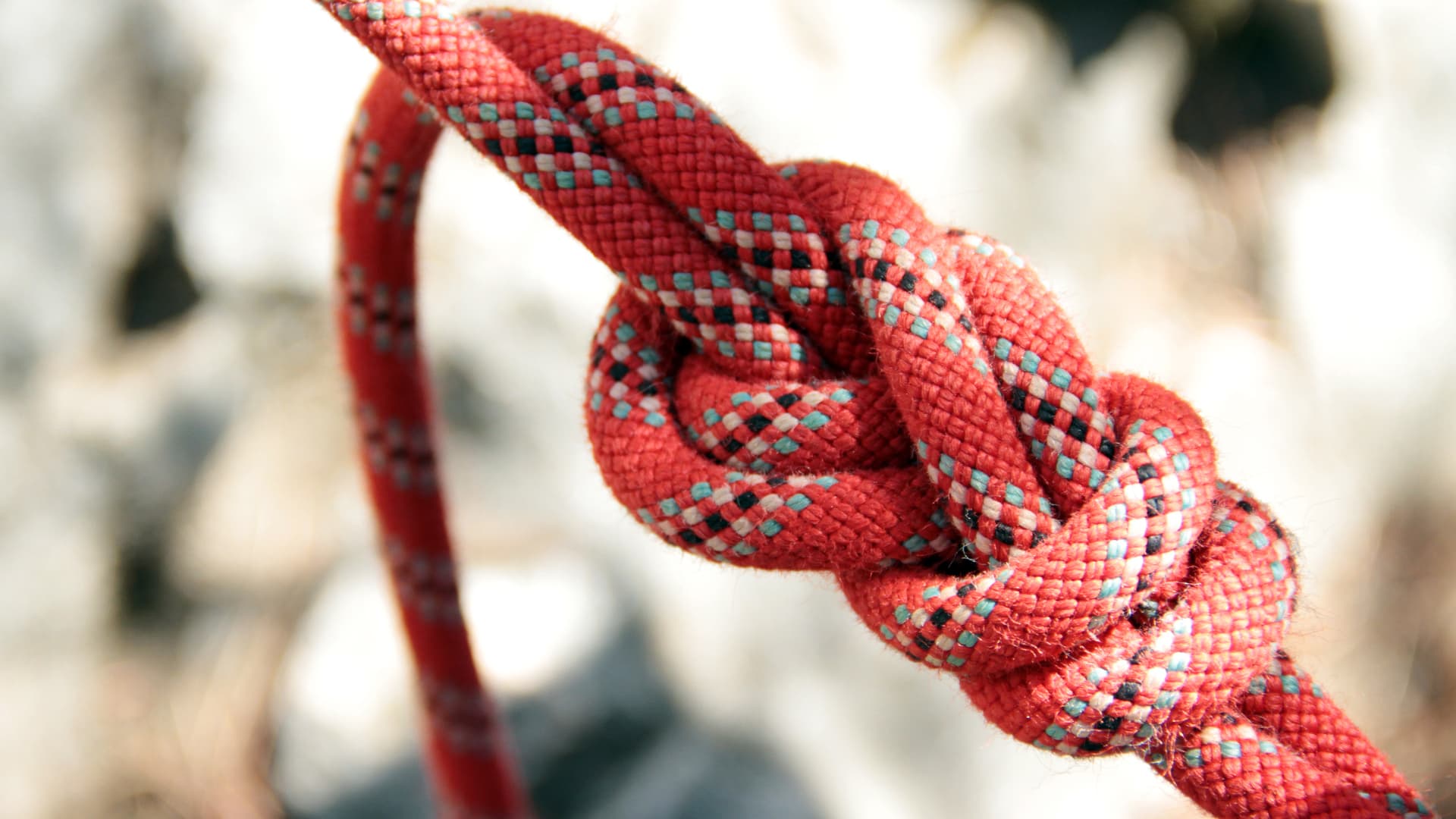 The relationship between the client and the technology partner according to SparkFabrik