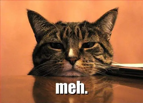 A cat with a bored expression.