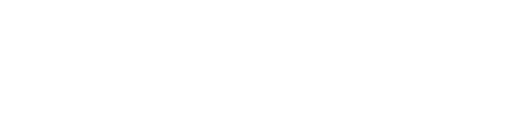 Neuron AI