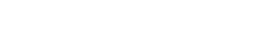 AI Native Engineering logo