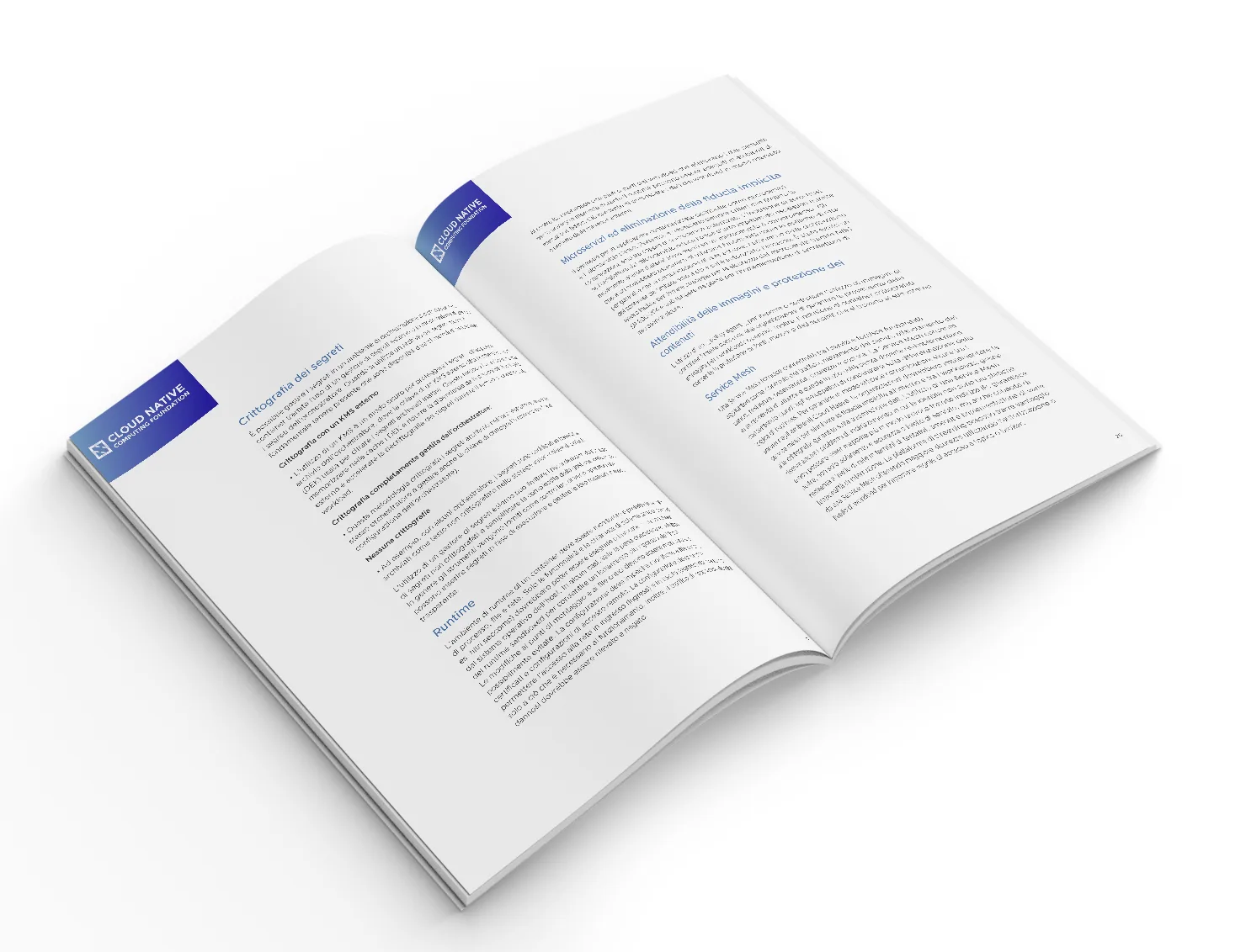 Pagina 2 del White Paper