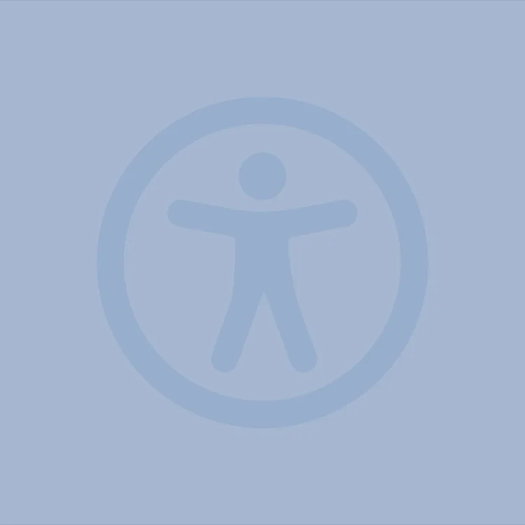 European Accessibility Act and Web Application