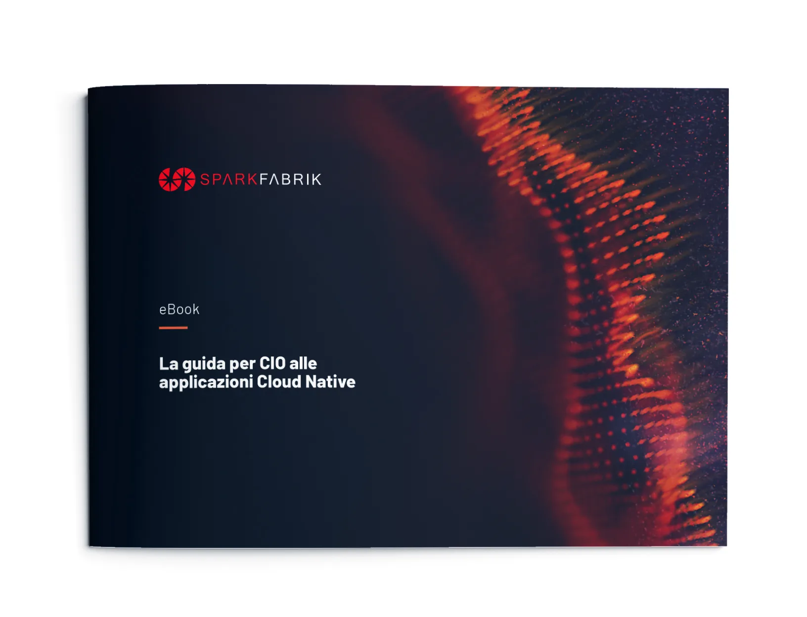 The CIO Guide to Cloud Native Apps The CIO Guide to Cloud Native Apps